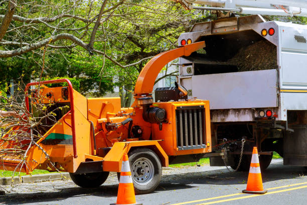 Best Tree and Shrub Care  in Linwood, PA